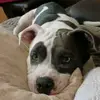 Michael Doty - @michael.doty6 - TikTok