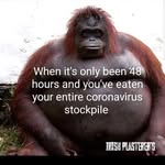 Michael Dowd - @michael.dowd.35 - Instagram