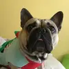 Michael Downing - @michael.downing77 - TikTok