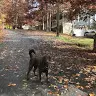 Michael Eldredge - @michael.s.eldredge - TikTok
