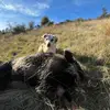 Michaela🐏 - @michaela.dredge - TikTok