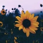 Michael drew - @michael_drew09 - Instagram