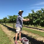 Michael Druga - @michaeldruga - Instagram