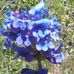 Michael Drumheller - Facebook