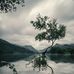 Michael Dry - Facebook