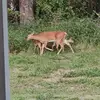 Michael Dry - @michael.dry - TikTok