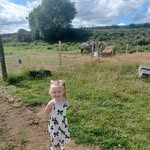 Michael Dryburgh - @michaeljdryburgh - Instagram