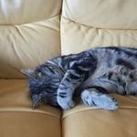 Michel Dubuisson - @michel_dubuisson - Instagram