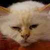 michaelducoudray - @michaelducoudray - TikTok