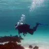 Michael Dunk - @michael.dunk1 - TikTok