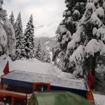 Michael DuregGer - @michael.duregger.180 - Instagram