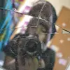 michaeladurner - @michaeladurner - TikTok