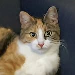 Michael Joseph Dury - @durymic - Instagram