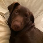 Michael G. Dvorak - @mgdvorak - Instagram