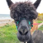 Michael Eagleson - @michaeleagleson - Instagram