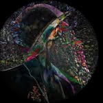 Michael Eaker - @eakeranium - Instagram
