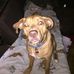 Michael Eaves - Facebook
