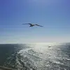 Michael Eberle - @mich_ael - TikTok