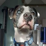 Michael Eckardt - @michael.eckardt.73 - Instagram