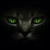 michael eddy517 - @user551769281 - TikTok