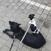 Michael Edel - Facebook