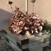 Vitalstudio Michael Edel - Facebook