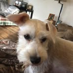 Michael Eden - Facebook