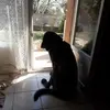 Michel Edery - @michel.edery - TikTok