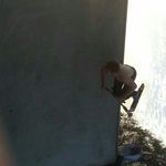Michael Edgington - @michaeledgington297 - Instagram
