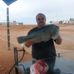 Michael Edis - Facebook