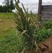 Michael Edman - Facebook