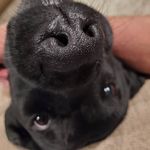 Michael Edmundson - @mike_ed1 - Instagram