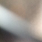 Michaelgdog - @michael_edney - Instagram
