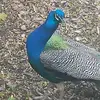Michael Egan - @michaelegan61 - TikTok