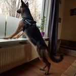 Michael egbert - @michaelegbert210381 - Instagram