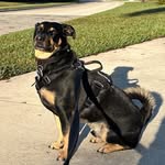 Michael Alexander Eger - @michael.eger7 - Instagram