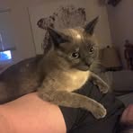 Michael Eger - Facebook