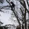 Michael Egerton - @michael.egerton4 - TikTok