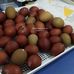 El corral de Michael Marans araucana y olive egger - Facebook