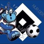 Michael Eggert - @eggert_m - Instagram