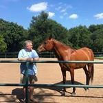 Michael Eggert - @michael.eggert03 - Instagram