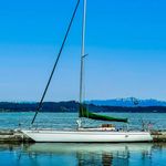 Michael Eglin - @sailing.chicanery - Instagram