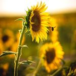 Michael Ehle - @mistamic318 - Instagram