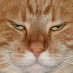 Michael Ehler - @mikeehler - Instagram