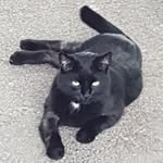 Michael Ehmann - @michaelehmann - Instagram