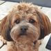 Michael Ehmann - Facebook