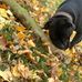 Michael Ehrenberg - Facebook