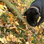 Michael Ehrenberg - @ehrenberg499 - Instagram