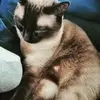michaelehrenberg7 - @michaelehrenberg7 - TikTok