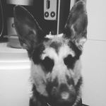 Michael.Doehring - @michael.doehring - Instagram